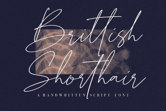 Brittish Shorthair Font: A Designer’s Real-World Review