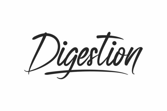 Digestion: A Relaxed Script Font for Editorial Design