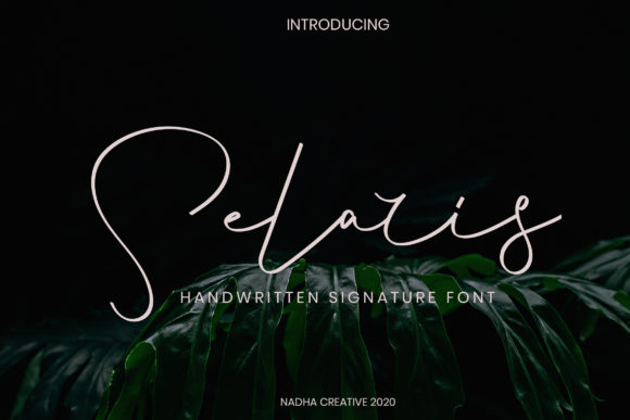 Selaris Font Review: A Web Designer’s Take